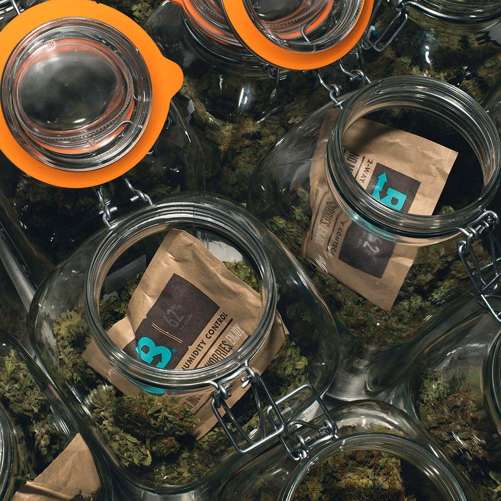 cannabis aufbewahrung luftfeuchtigkeit Boveda Packs im 5er oder 10er Set zur Feuchtigkeitsregulierung ✓ –  budtenders