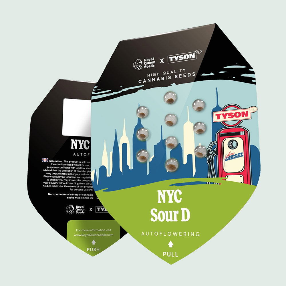 NYC Diesel Cannabissamen by TYSON