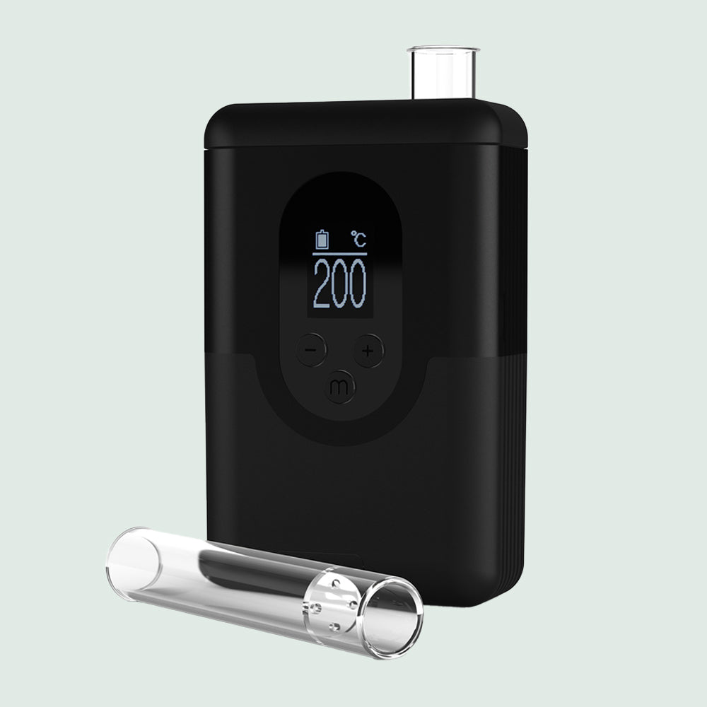 argo vape ARIZER Go (ArGo) Kräuter Vaporizer