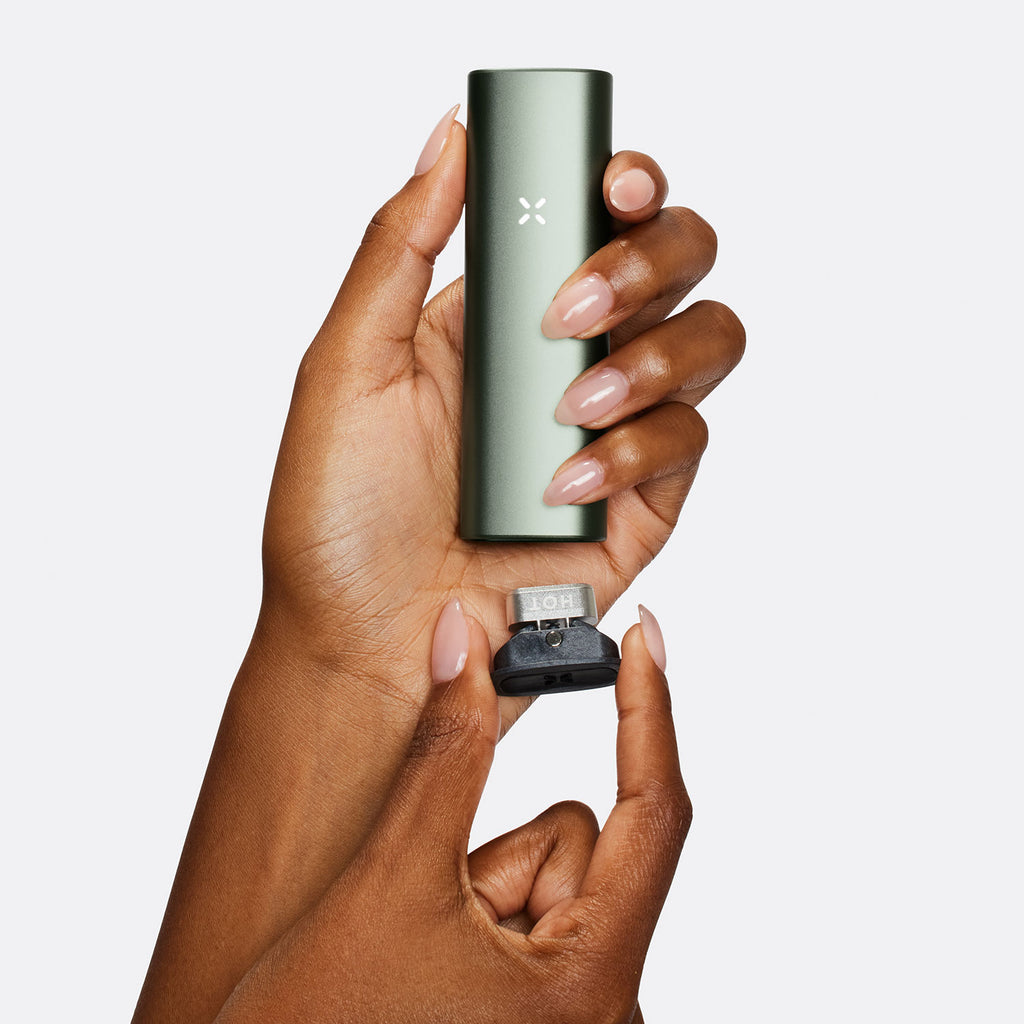 PAX Plus Vaporizer | ab 149,95 und gratis Ladestation budtenders PAX Plus Vaporizer | ab 149,95 und gratis Ladestation budtenders